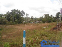 Land for Sale at Thalawathugoda